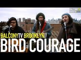 BIRD COURAGE - CONSTELLATION (BalconyTV)