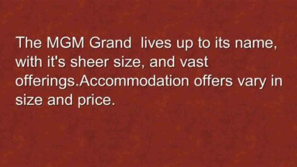Las Vegas At The MGM Grand