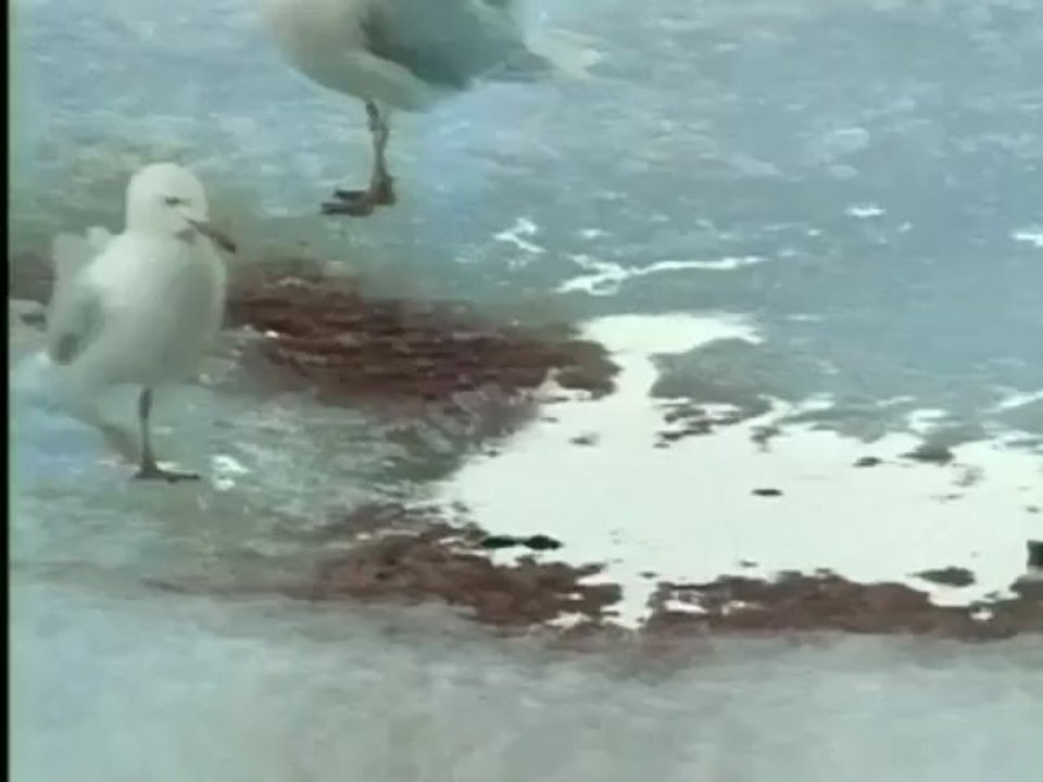 Killing for a Living - Dining Alone