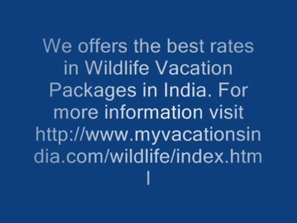 Get Attractive Offer in Wildlife Vacation Packages in India