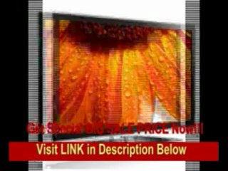 [BEST PRICE] Samsung PN51D6500 51-Inch 1080p 600 Hz 3D Plasma HDTV (Black) [2011 MODEL]