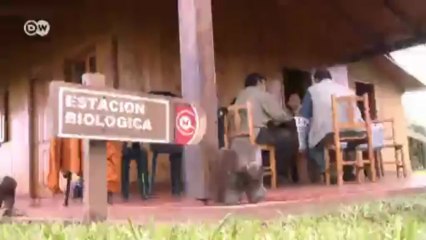 The High Cost of Paraguay’s Economic Upswing | Global 3000