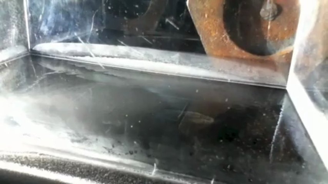 Comment voir des particules cosmiques ?