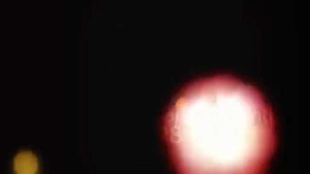 Animal Damage Control (925) 283-3130