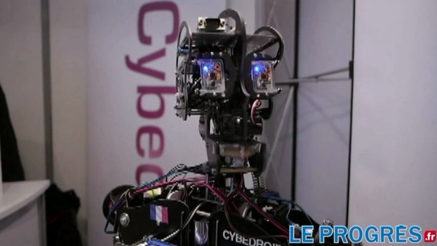 A Lyon, des robots câlins, copains et gardiens...