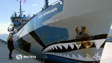 Sea Shepherd vessels dock in Melbourne