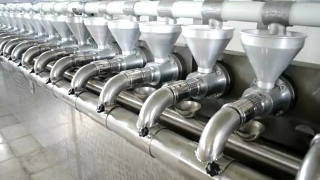 Tokul Tarim 20 Head Algae ,Seed and Nut Oil Press