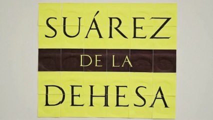 Suarez de la Dehesa