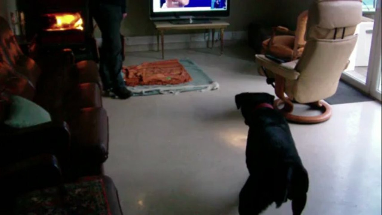 Hertz est toujours en chasse