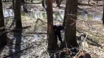 Cet homme est un tueur d'arbre