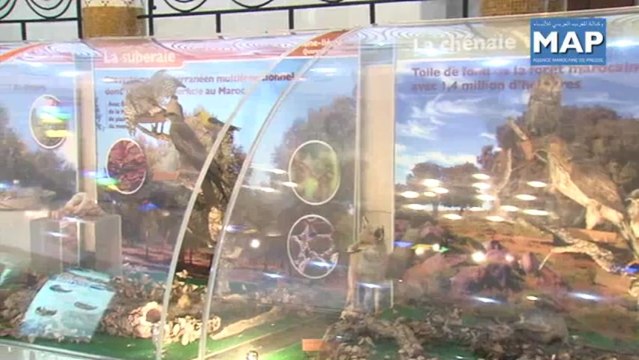 مخطط لحماية التنوع البيولوجي