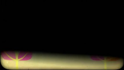 Express Towing (718) 865-8790