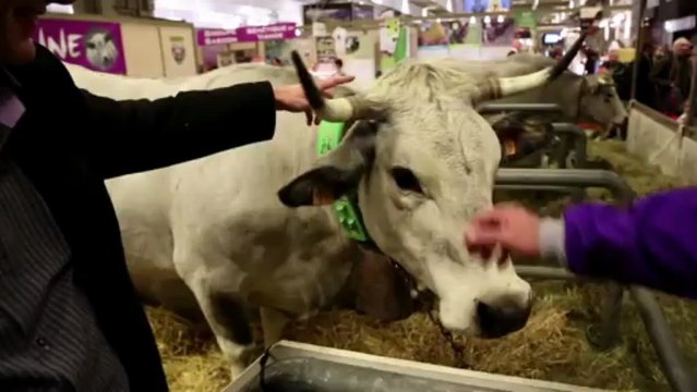 EELV au Salon de l'agriculture 2013, avec Pascal Durand et José Bové