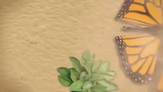 Reasonable Tree Experts (815) 726-8192