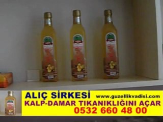 ALIÇ SİRKESİ www.guzellikvadisi.com