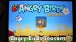 Angry Birds Seasons: Summer Pignic Level 1-1 3 Star Walkthrough iPhone/iPod/iPad