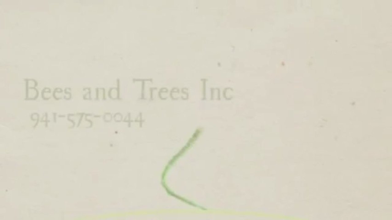 Bees and Trees  Inc 941-575-0044