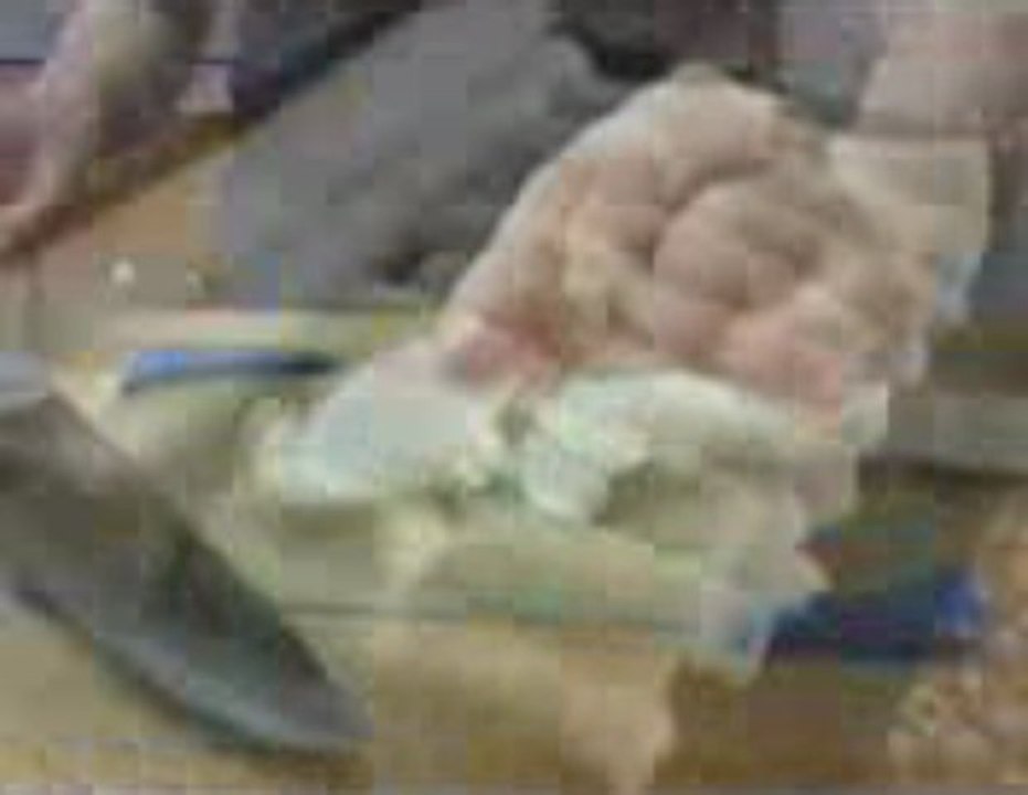 정통카지노♋♂♀BAC666.COM ♀♂♋ 보라카이카지노