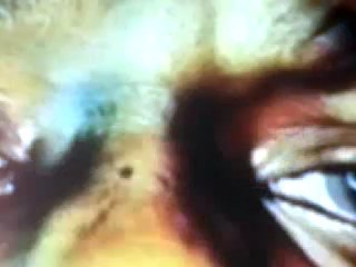 Lil Kim Untold Facts