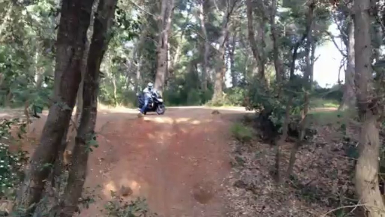 Petit saut en scooter 125 dans la forêt !
