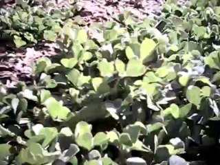 5eme vol avec mon nouveau joujou