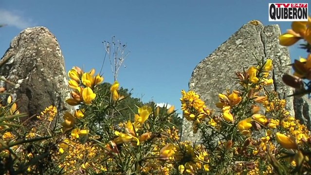Carnac | Le printemps des Menhirs - Carnac Télé