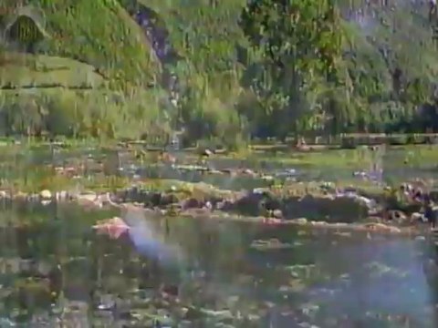 Miljko Vitezović - Vetar duva, borovi se viju