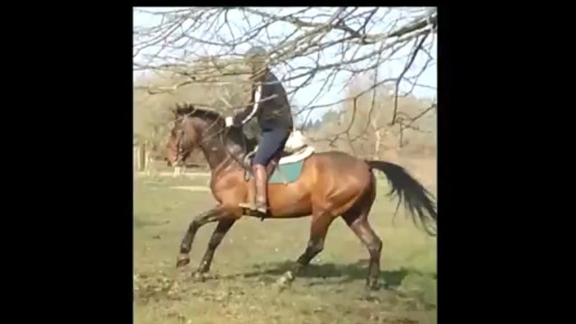 Session Cross Jau Dignac