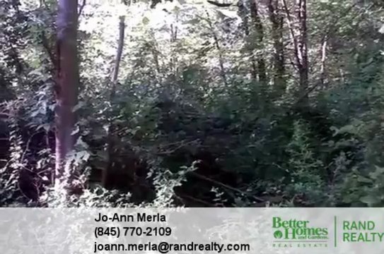Homes for Sale - 342 Oak Tree Rd Palisades NY 10964 - Jo-Ann Merla