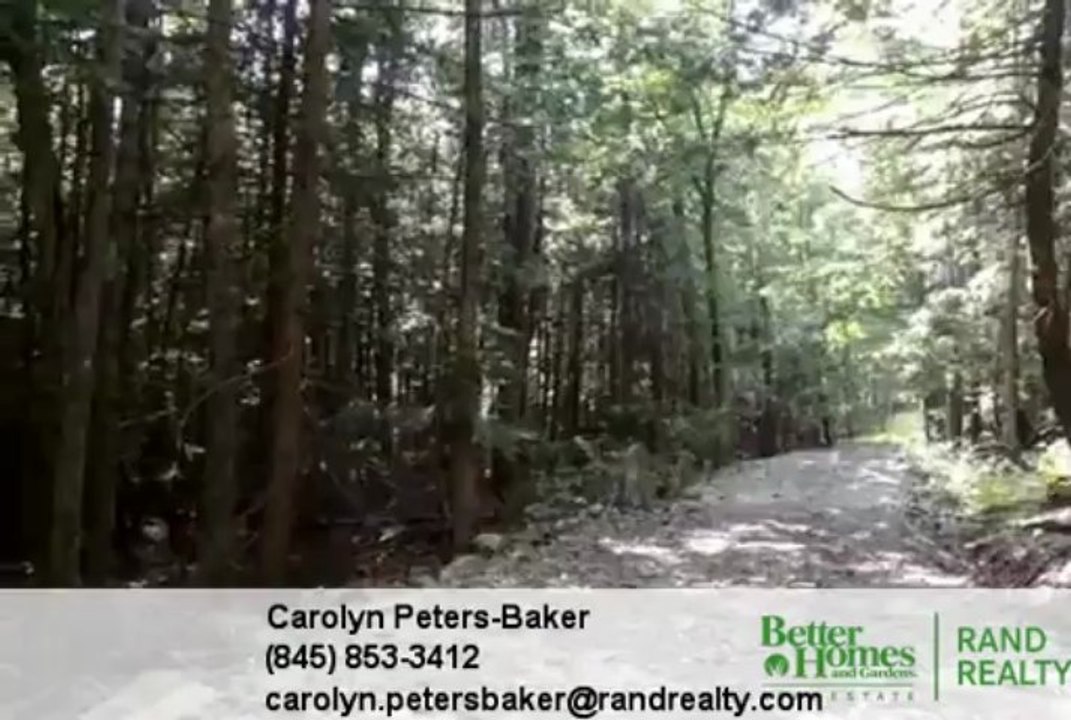 Homes for Sale - IRISH CAPE Road Napanoch NY 12458 - Carolyn Peters-Baker