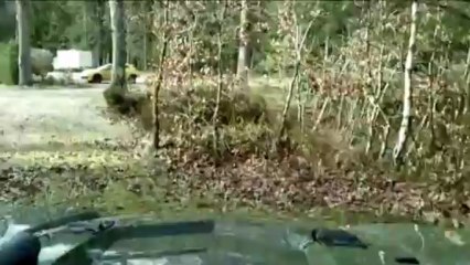 lantage domaine raide decouverte