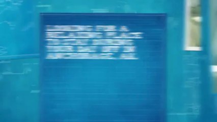 Bed and Breakfast Anchorage AK by Northern B & B