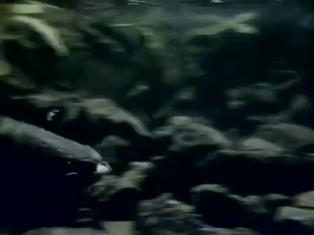 Killing for a Living - Rivers Of Life Rivers Of Death