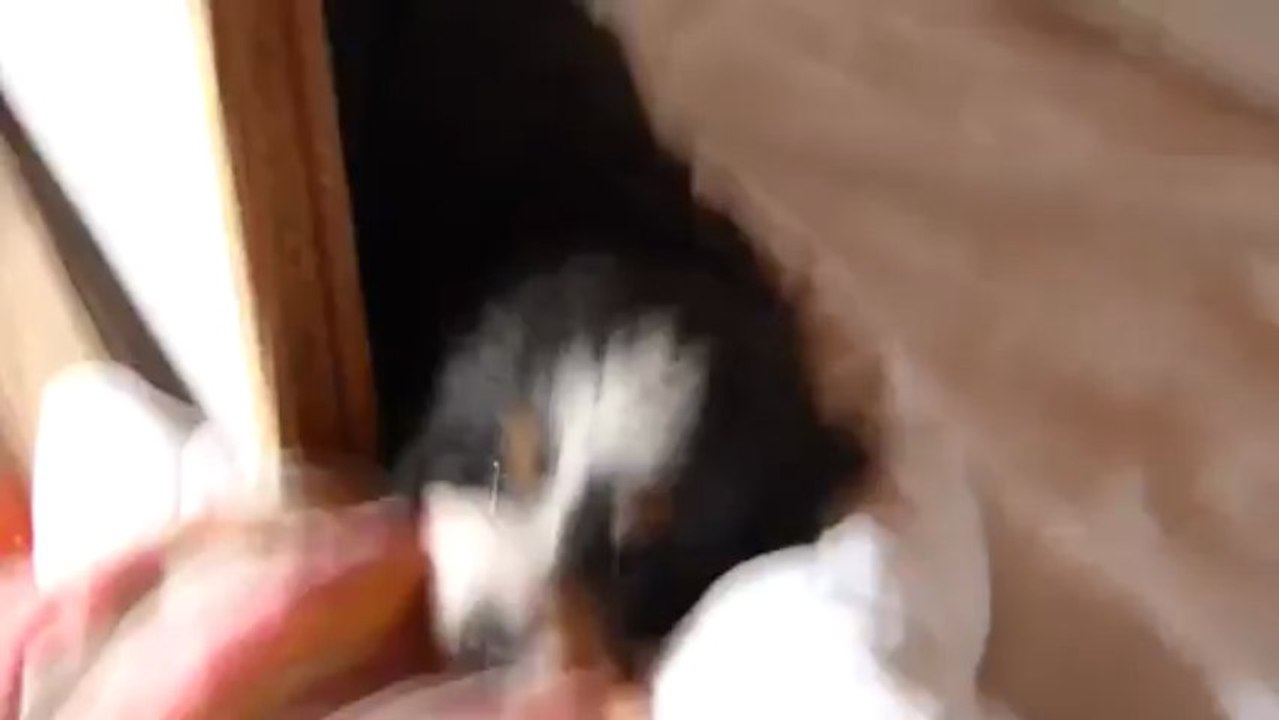 20 mars bébé turquoise