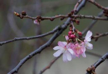 Spring Has Sprung: Here's Why