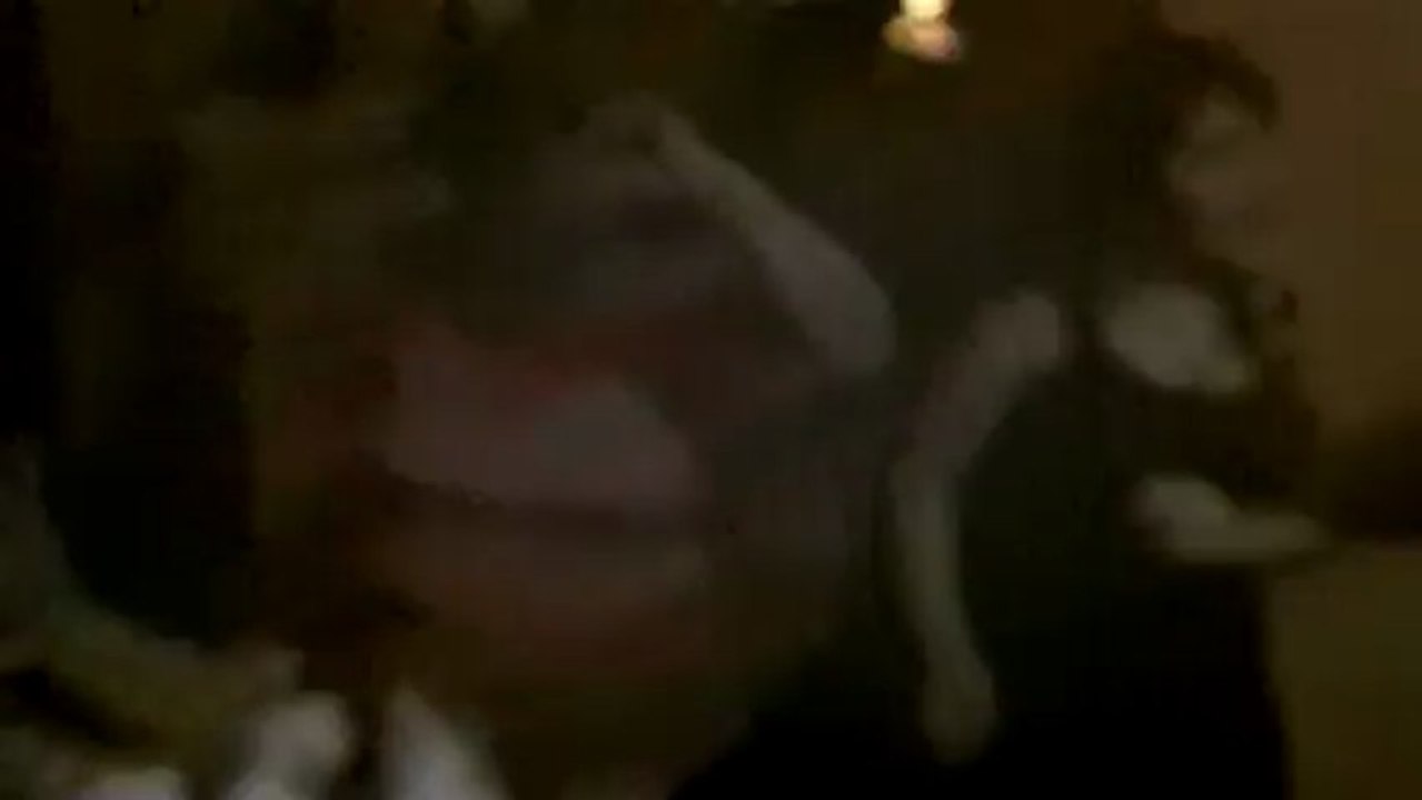 IMAG0025