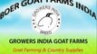 Boer Goat Farms India