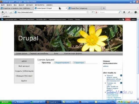 Установка темы на Drupal