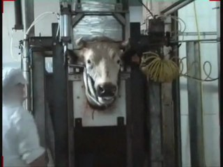 Ça se passe près de chez nous