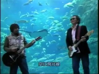 奥田民生 - ドキュメント 1_6