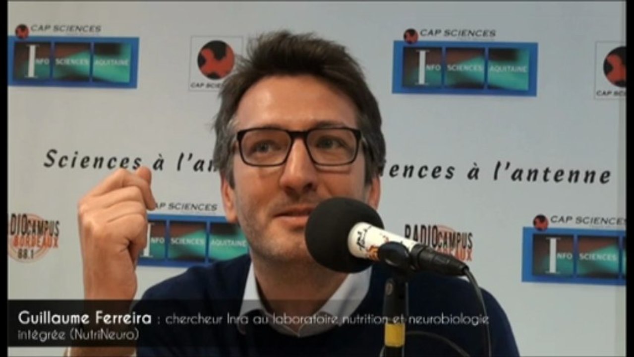 Surprenante intelligence animale !