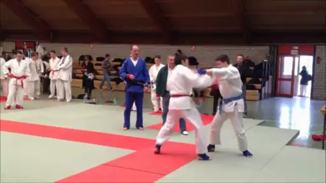 Jujitsu Fighting Moselle