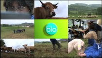 Minute Bio - Les formations en agriculture biologique