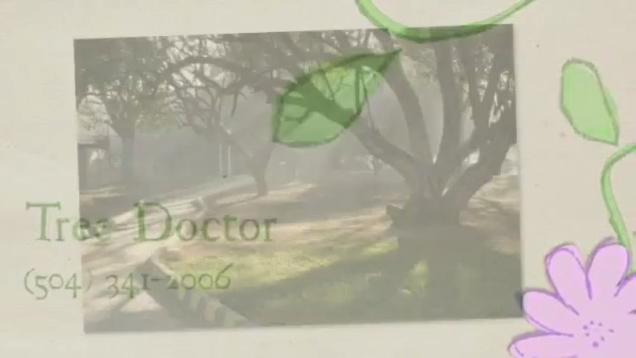Tree Doctor - (504) 341-2006