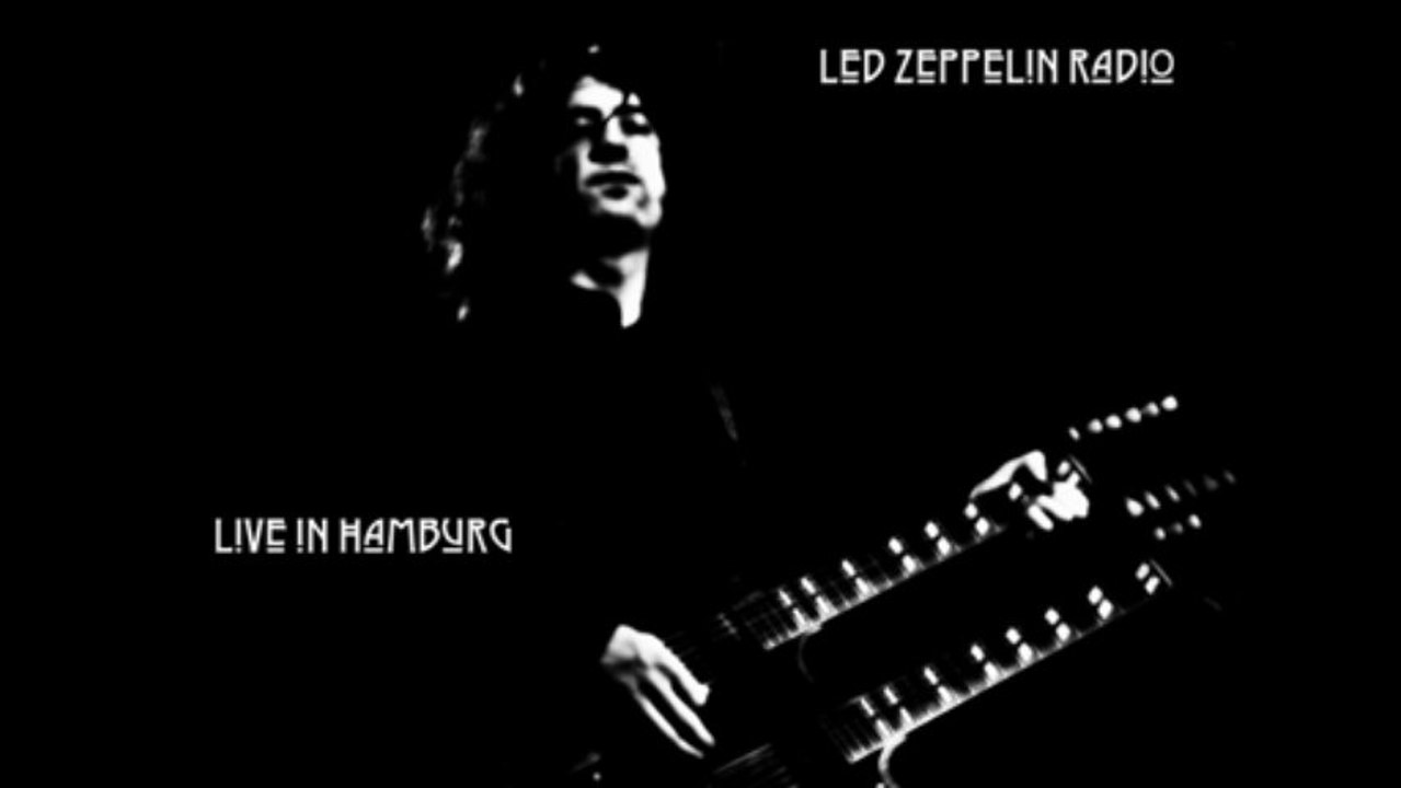Black dog
