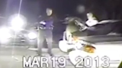 Deer in Trunk Comes Back from the Dead