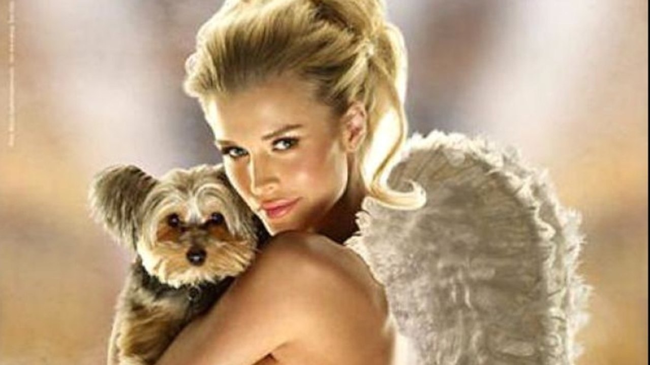 PETA: Killing Pets in Virginia?