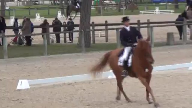 Rapsodie des Ajoncs / Dressage CCI* Fontainebleau 2013