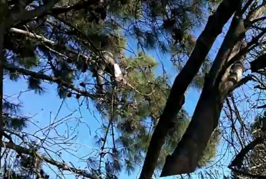 2013-03-21-Sauvetage de DEA