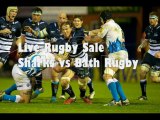 Rugby Match Sale Sharks vs Bath Rugby On 22 March 2013